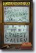 *The Dreadful Revenge of Ernest Gallen* by James Lincoln Collier- young readers book review