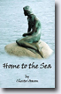 *Home to the Sea* by Chester Aaron - young adult book review